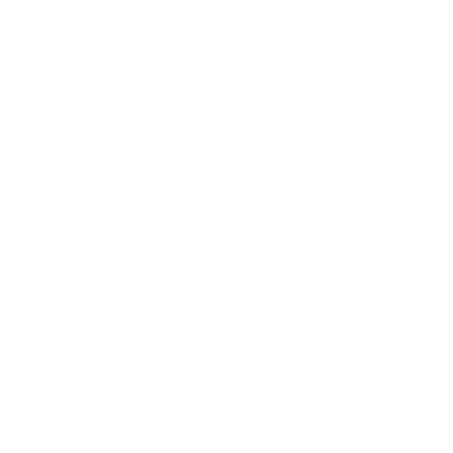 logo-bulle-500-page